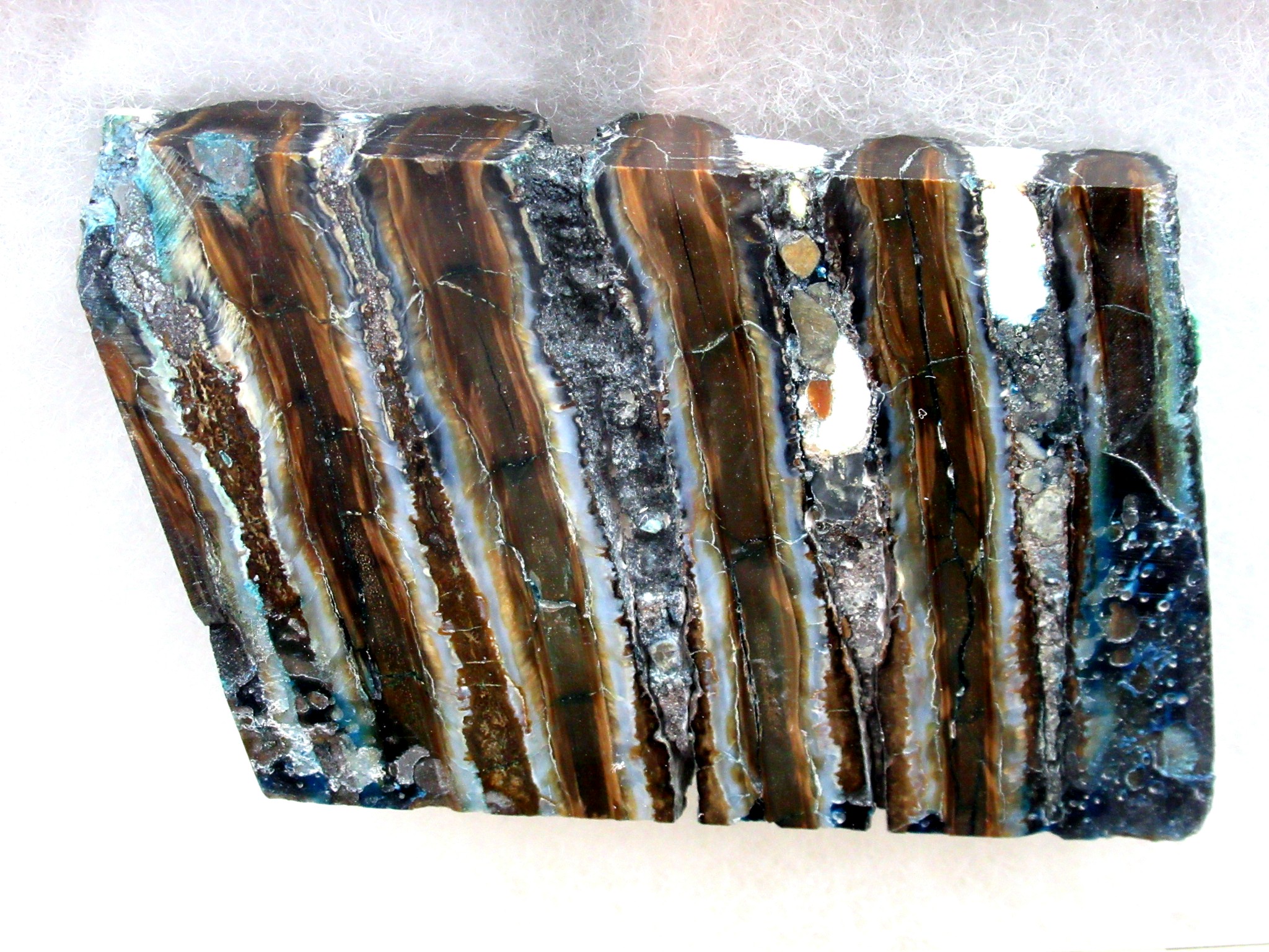 Pleistocene Ice Age Woolly Mammoth Collection 8c | Fossils for Sale Genuine Pleistocene Age Woolly Mammoth Collection Fossils for Sale from Alaska #8c