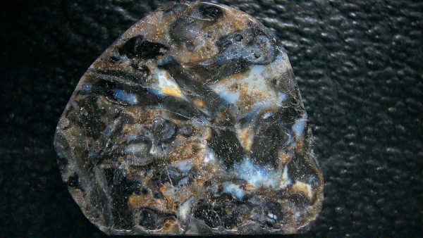 Genuine Devonian Age Ryhnie Chert Specimen in Riker for Sale from Scotland #3