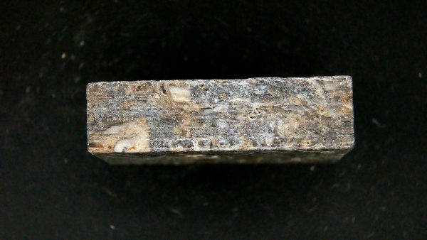 Genuine Devonian Age Ryhnie Chert Specimen in Riker for Sale from Scotland #4b