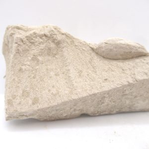 Genuine Oligocene Turtle Egg in Matrix From Wyoming For Sale #13