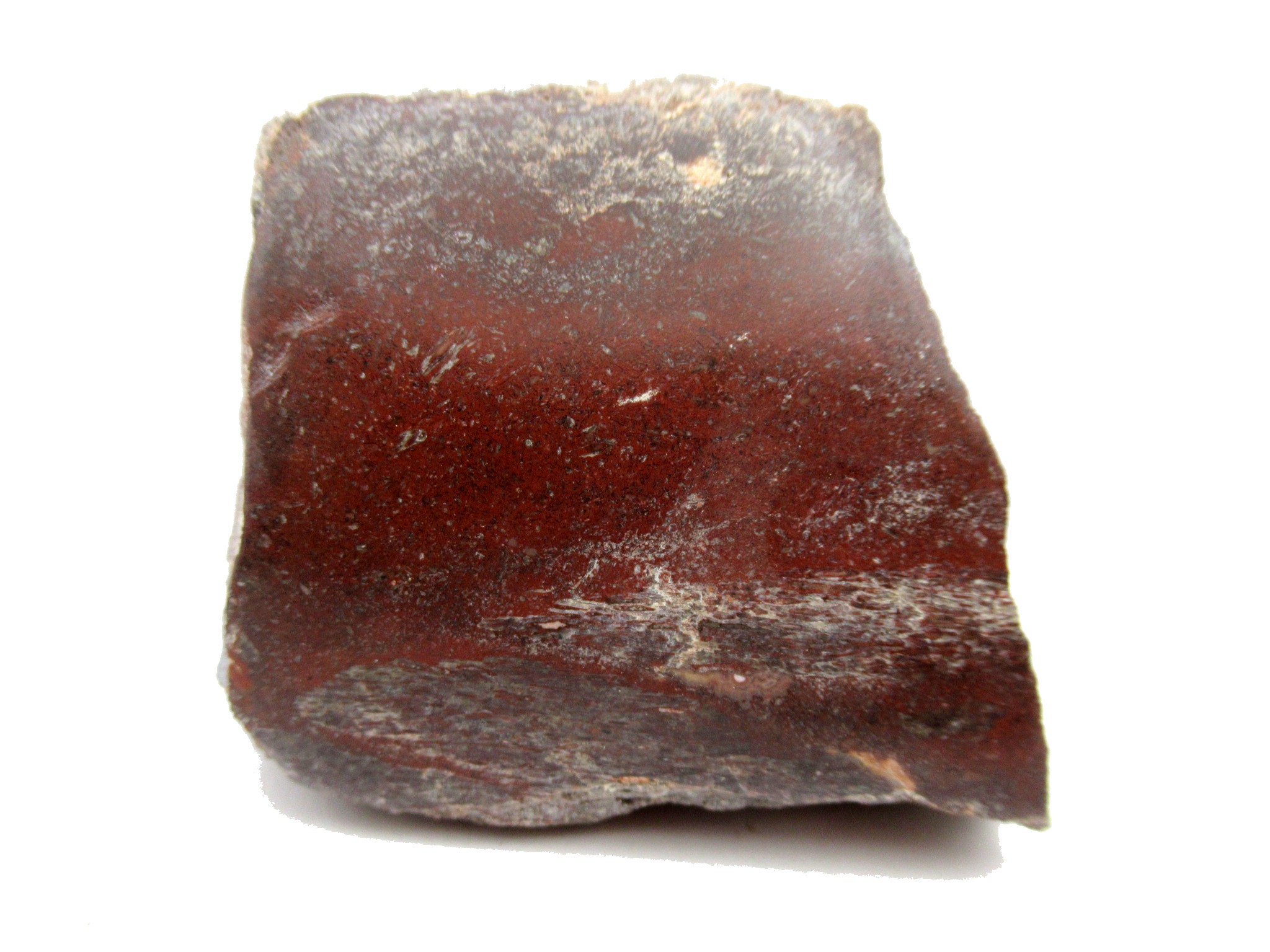 utah jurassic polished dinosaur bone piece 123 | Fossils for Sale