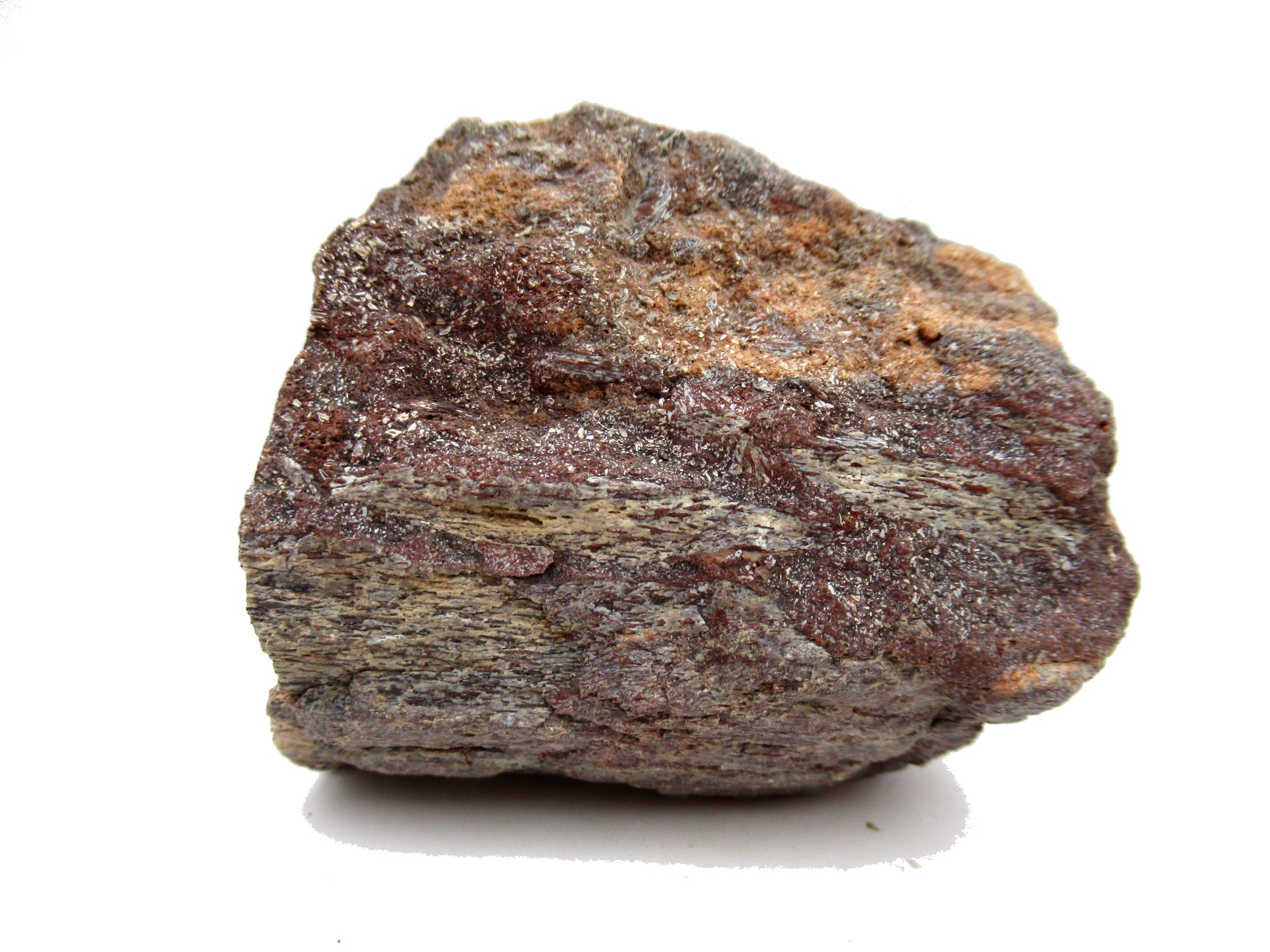 utah jurassic polished dinosaur bone piece 123a | Fossils for Sale