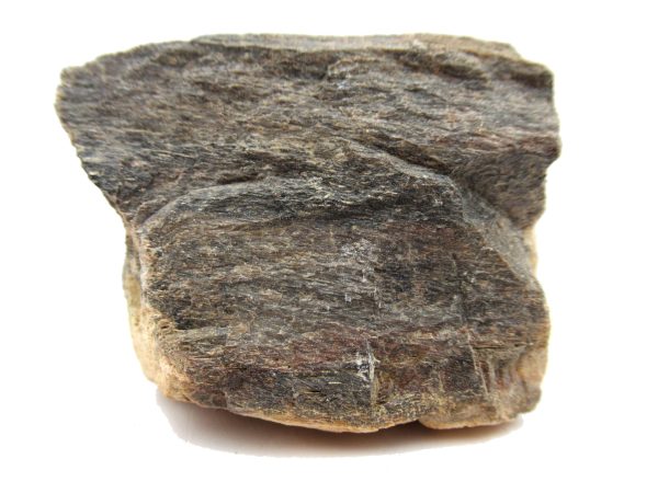 Jurassic Dinosaur Bone - Polished #125 - Image 2