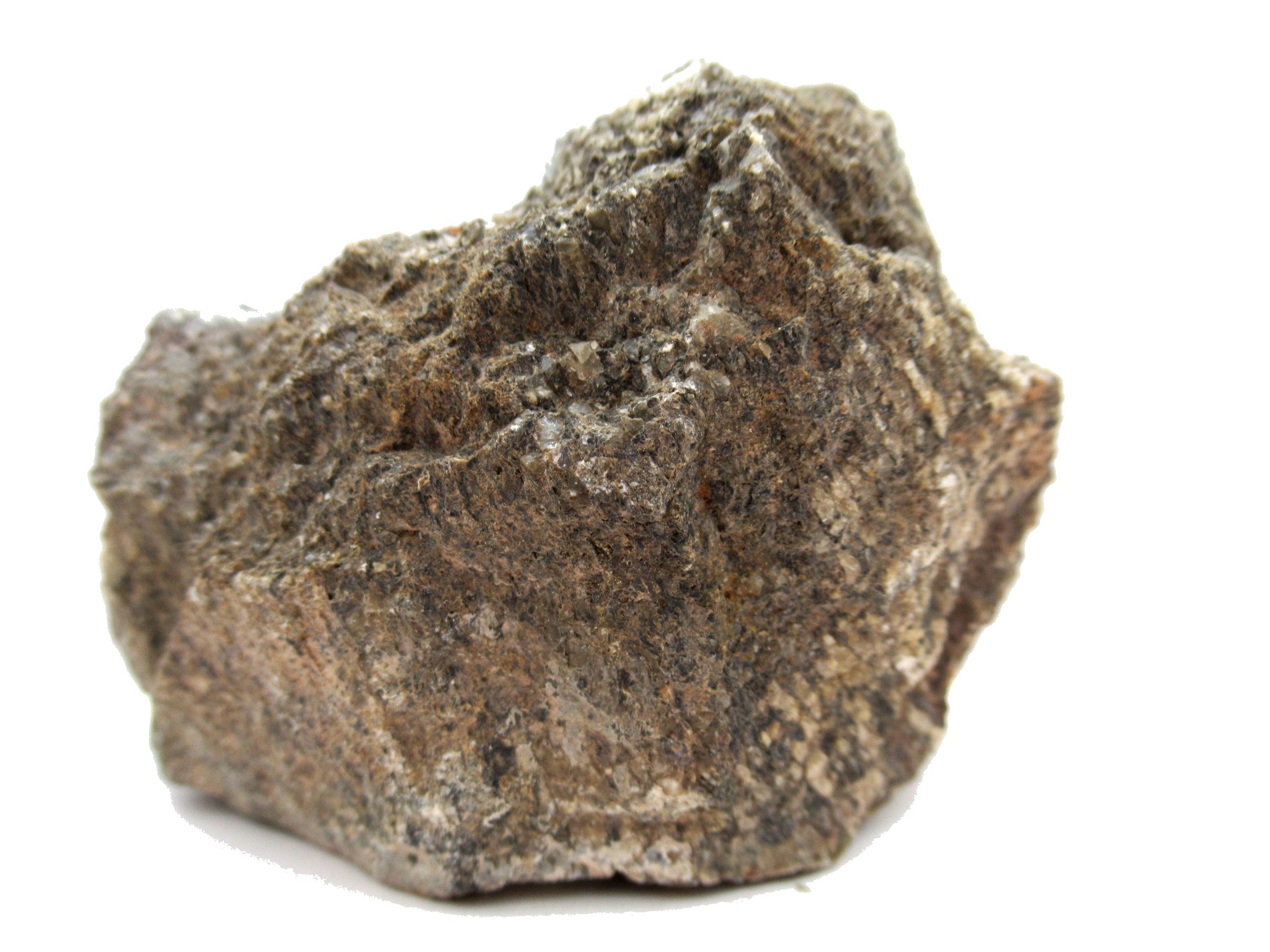 utah jurassic polished dinosaur bone piece 131a | Fossils for Sale