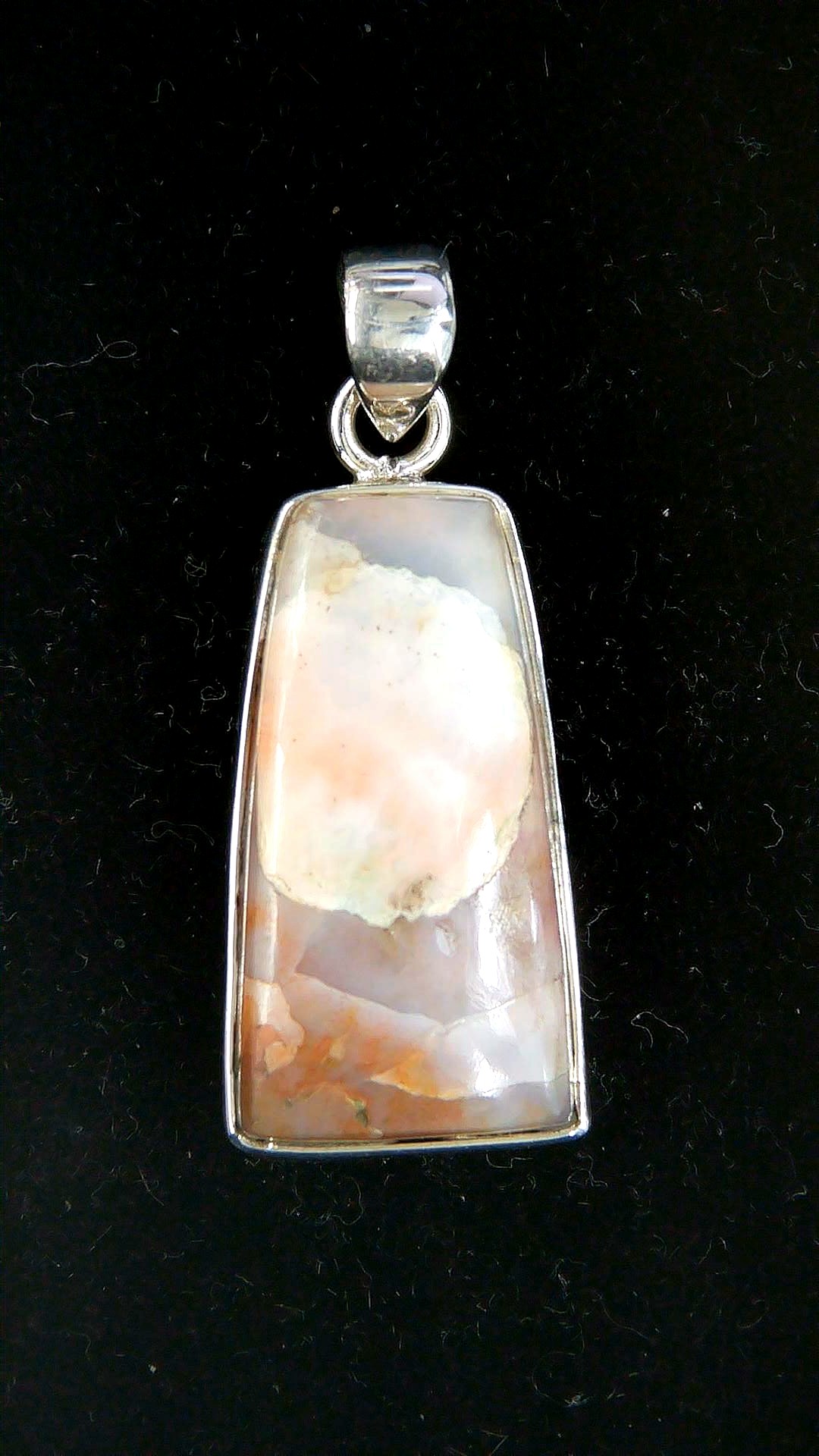 Arizona Petrified Wood Pendant 1 | Fossils for Sale Arizona Petrified Wood Pendant For Sale #1
