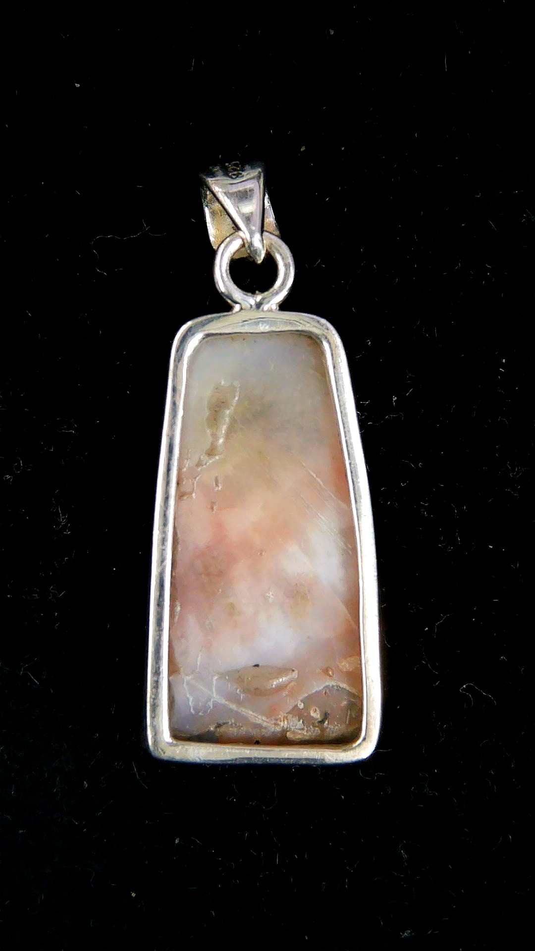 Arizona Petrified Wood Pendant 1a | Fossils for Sale Arizona Petrified Wood Pendant For Sale #1a