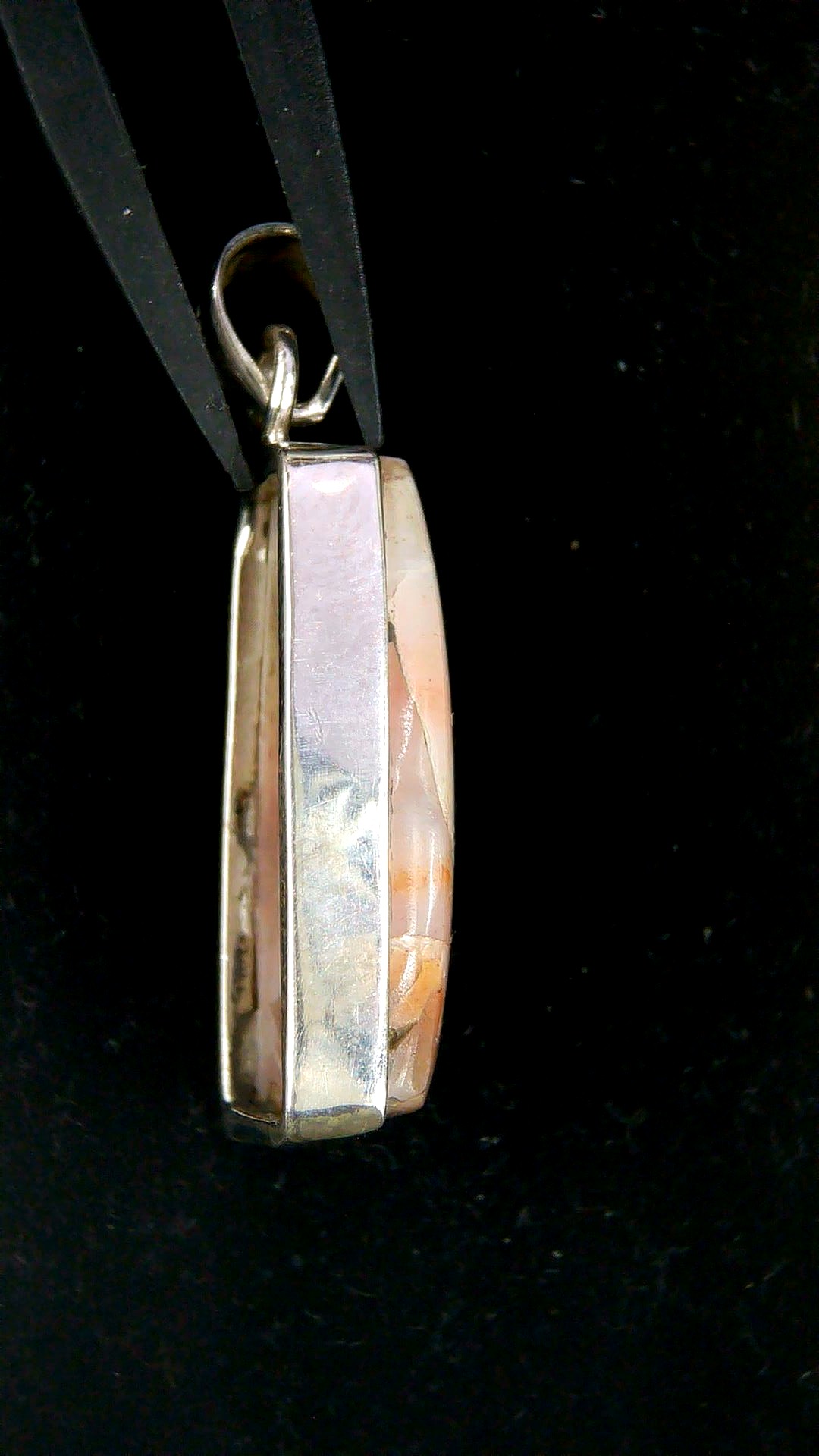 Arizona Petrified Wood Pendant 1b | Fossils for Sale Arizona Petrified Wood Pendant For Sale #1b