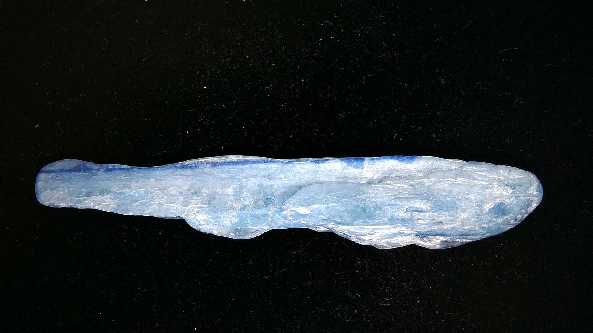 Blue Kyanite Natural Mineral Specimen 14 | Fossils for Sale Genuine Blue Kyanite Natural Mineral Specimen for Sale from India #14