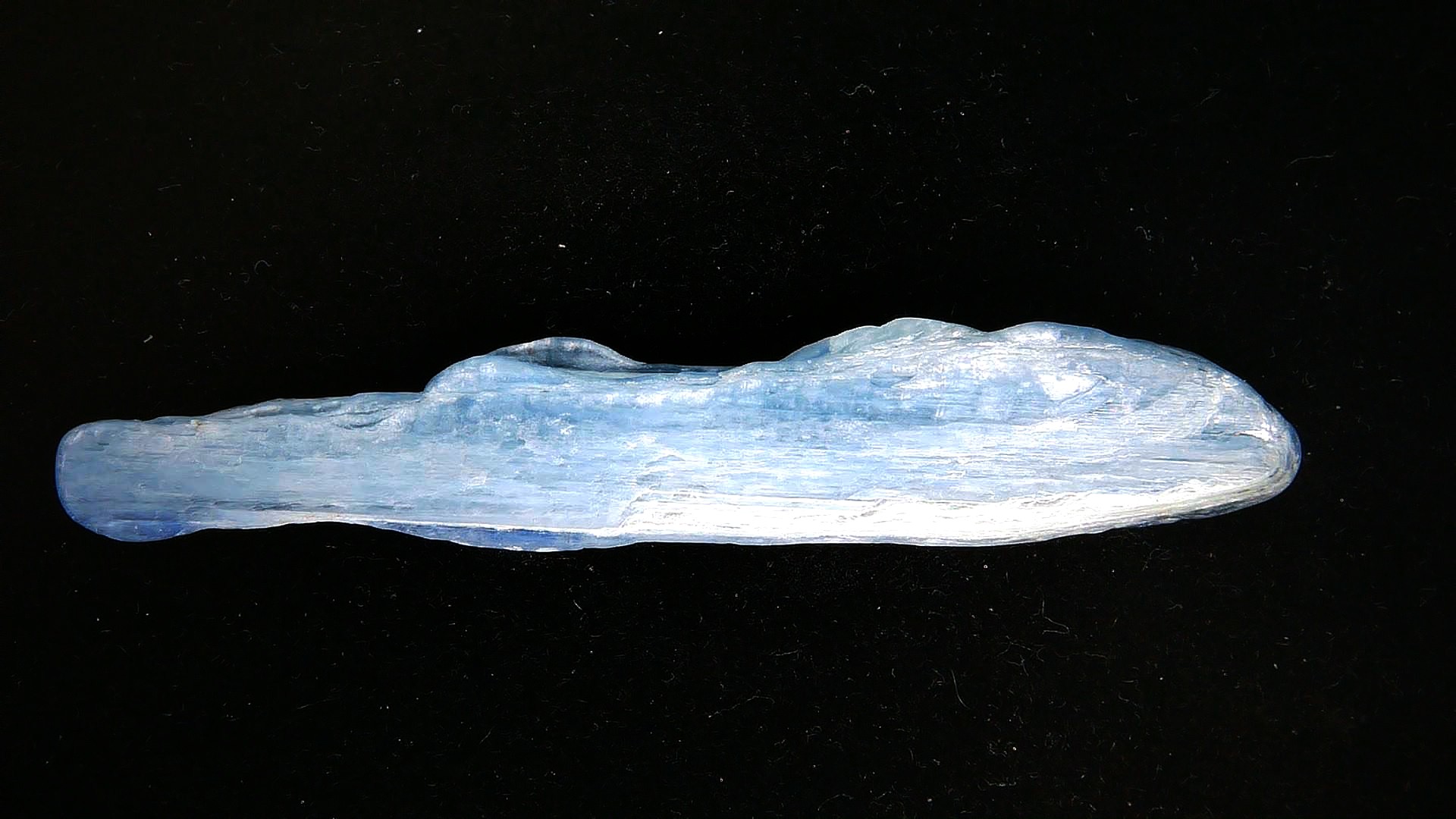 Blue Kyanite Natural Mineral Specimen 14a | Fossils for Sale Genuine Blue Kyanite Natural Mineral Specimen for Sale from India #14a