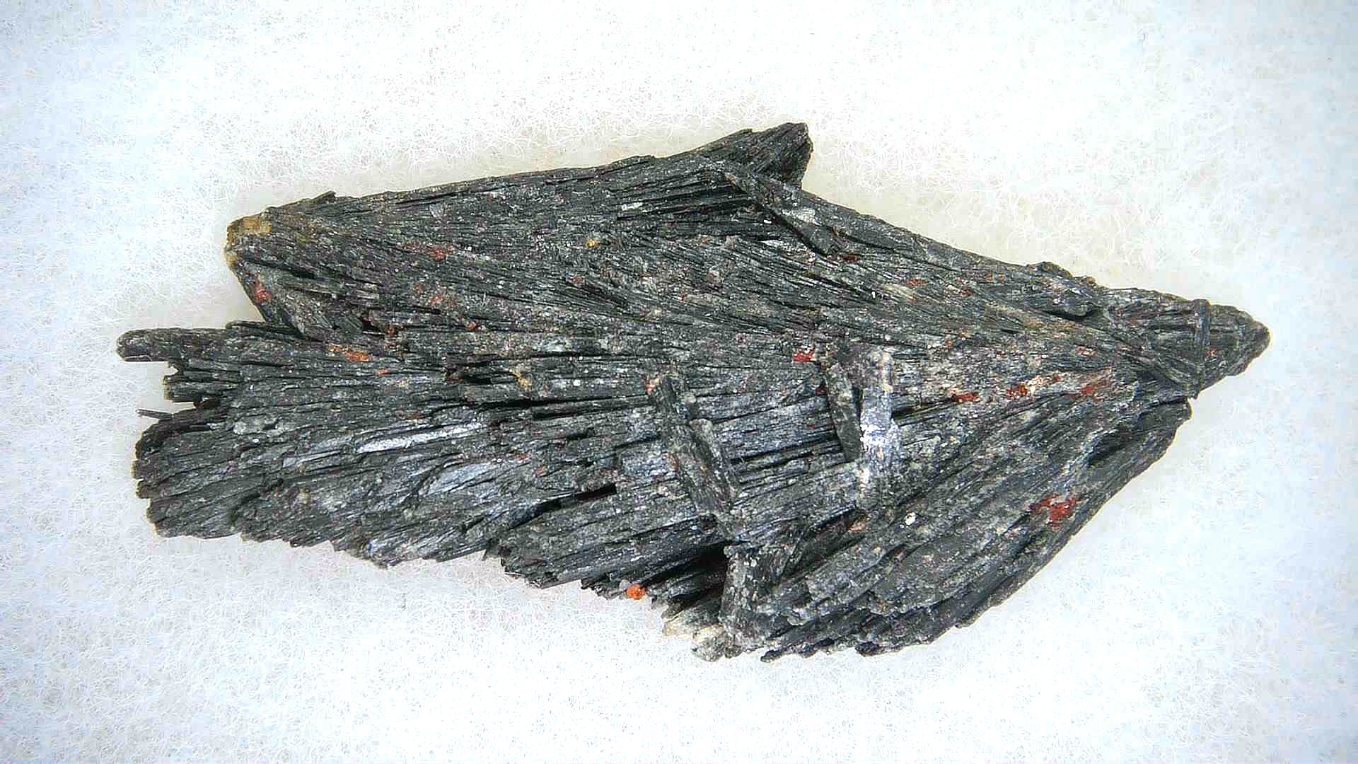 India Black Kyanite Natural Mineral Specimen 10 | Fossils for Sale Genuine Black Kyanite Natural Mineral Specimen for Sale from India #10