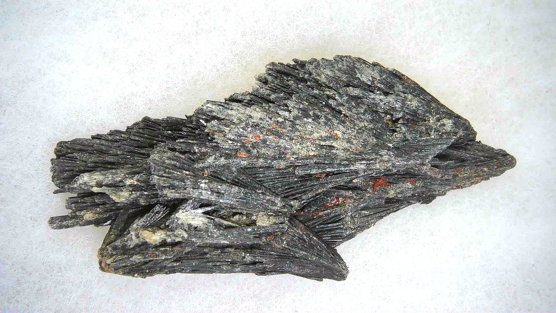 India Black Kyanite Natural Mineral Specimen 10a | Fossils for Sale Genuine Black Kyanite Natural Mineral Specimen for Sale from India #10a