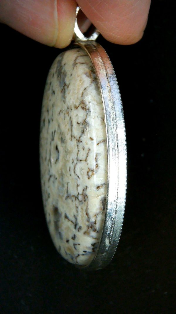 Mineral Pendant Dinosaur Bone 3 Fossils for Sale