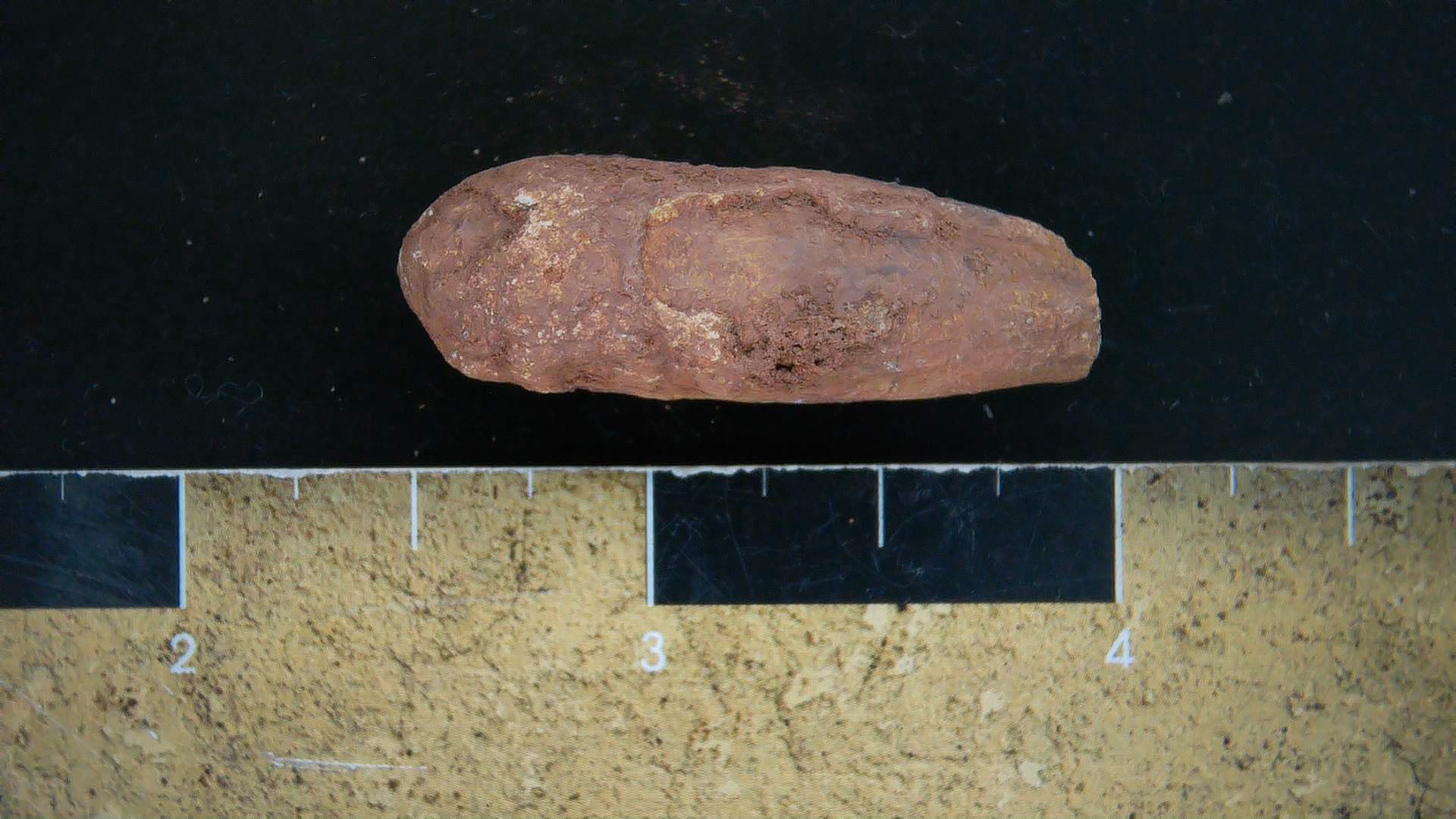 New Mexico Triassic Dinosaur Coprolite 17a | Fossils for Sale Genuine Triassic Age Dinosaur Coprolite Fossil for Sale from New Mexico #17a