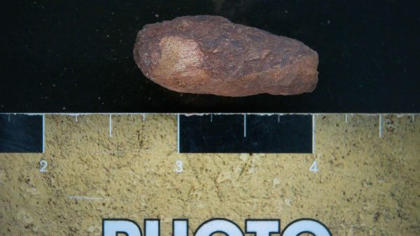 Genuine Triassic Age Dinosaur Coprolite Fossil for Sale from New Mexico #26