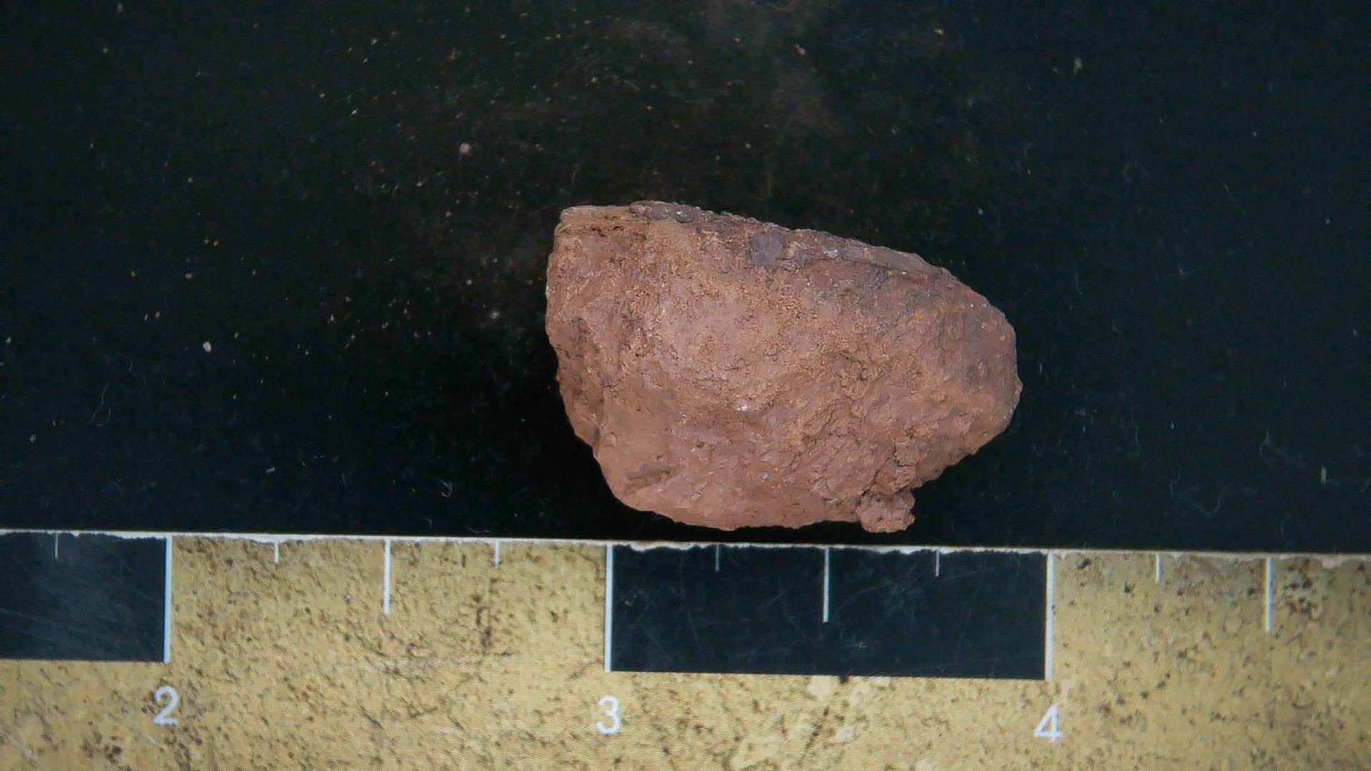 New Mexico Triassic Dinosaur Coprolite 32 | Fossils for Sale Genuine Triassic Age Dinosaur Coprolite Fossil for Sale from New Mexico #32