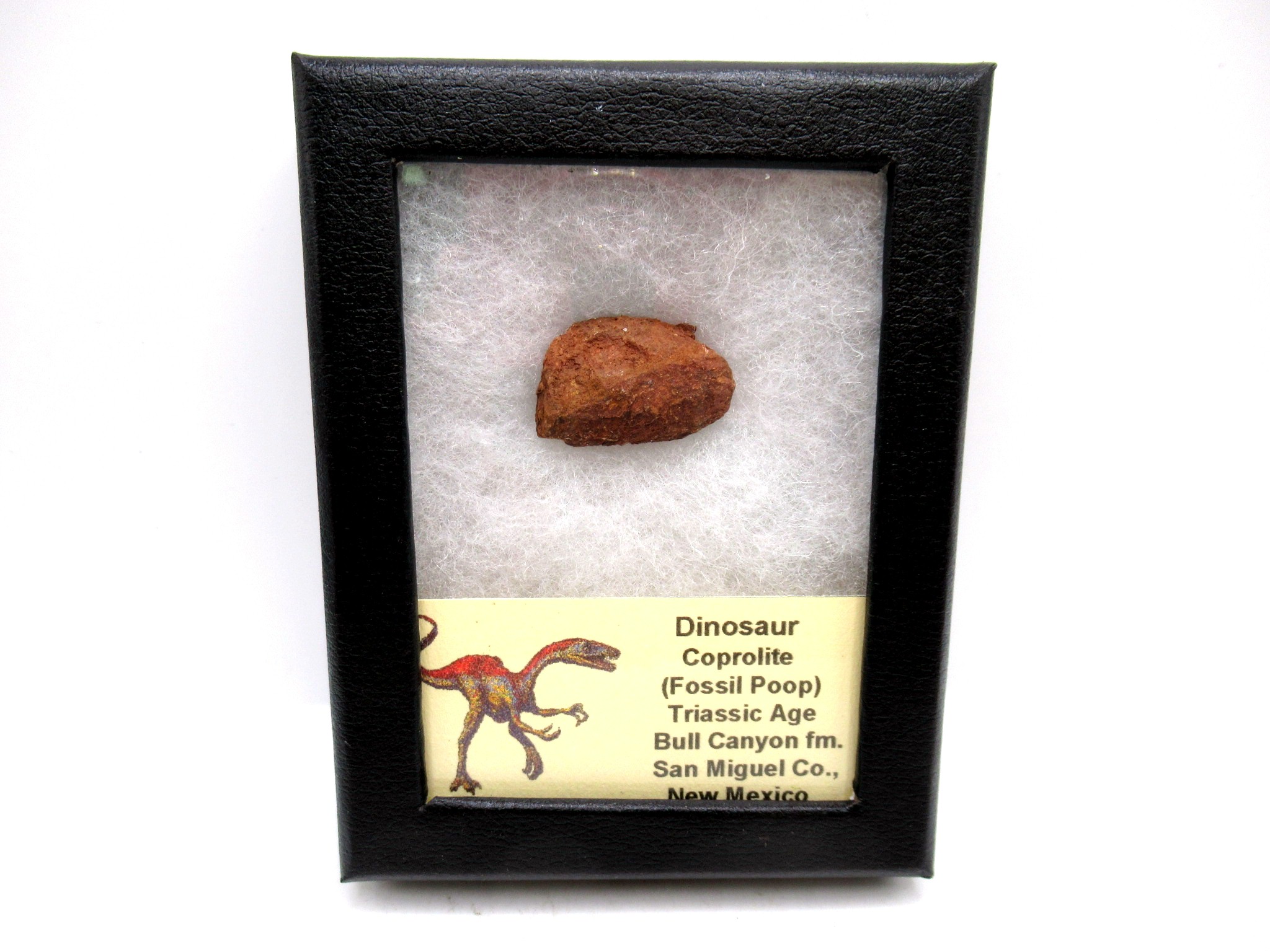 Utah Jurassic Age Dinosaur Coprolite 32 | Fossils for Sale Genuine Jurassic Age Dinosaur Coprolite Fossil for Sale from Utah #32