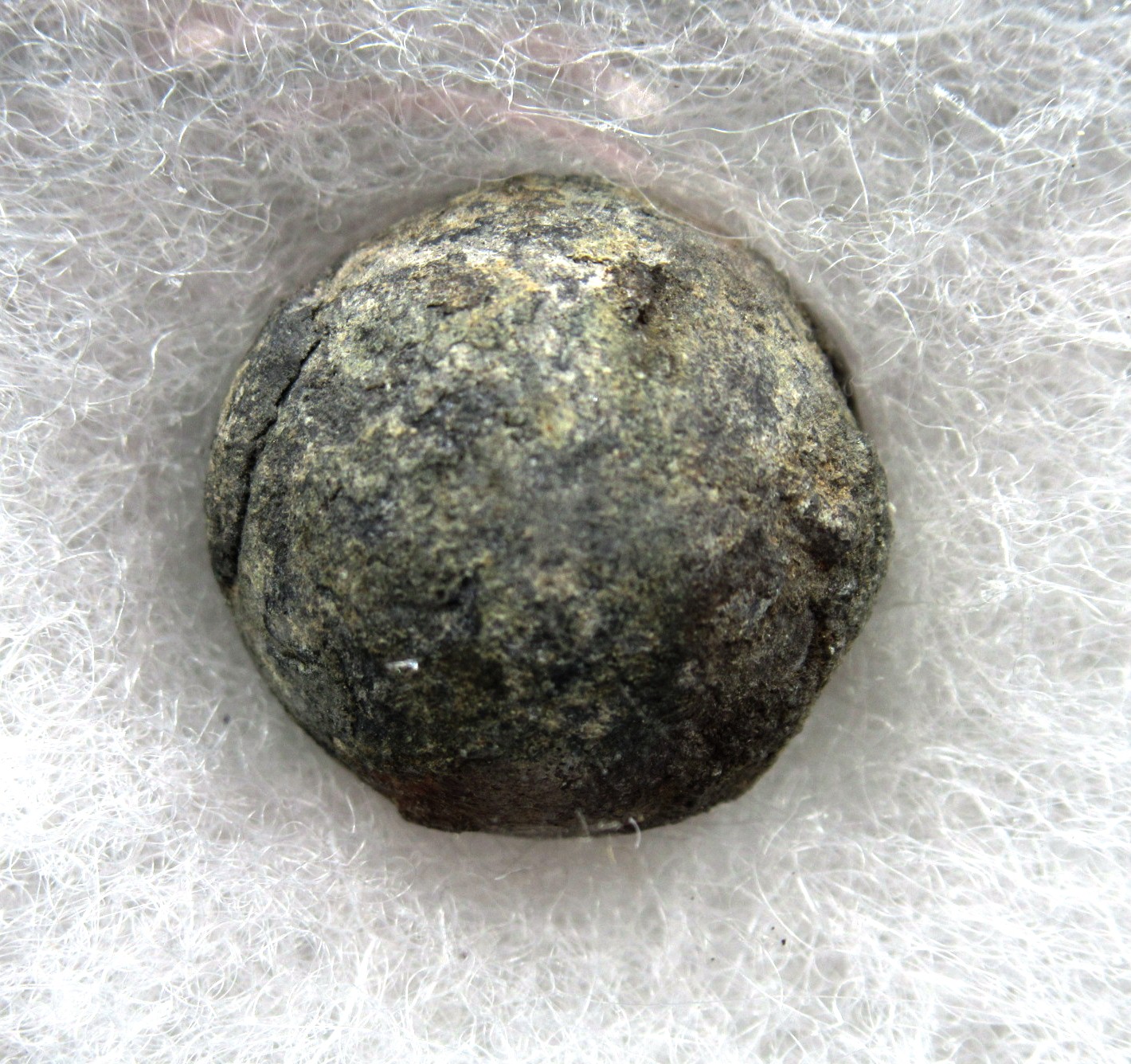 British Shipwreck Artifact Musket Ball 17a | Fossils for Sale Genuine British Shipwreck Artifact Musket ball for Sale #17a