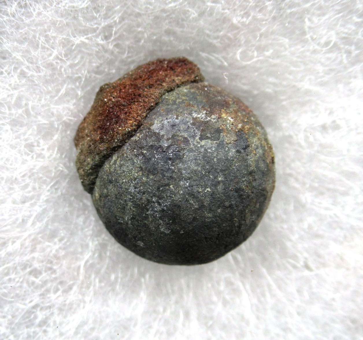 British Shipwreck Artifact Musket Ball 22a | Fossils for Sale Genuine British Shipwreck Artifact Musket ball for Sale #22a