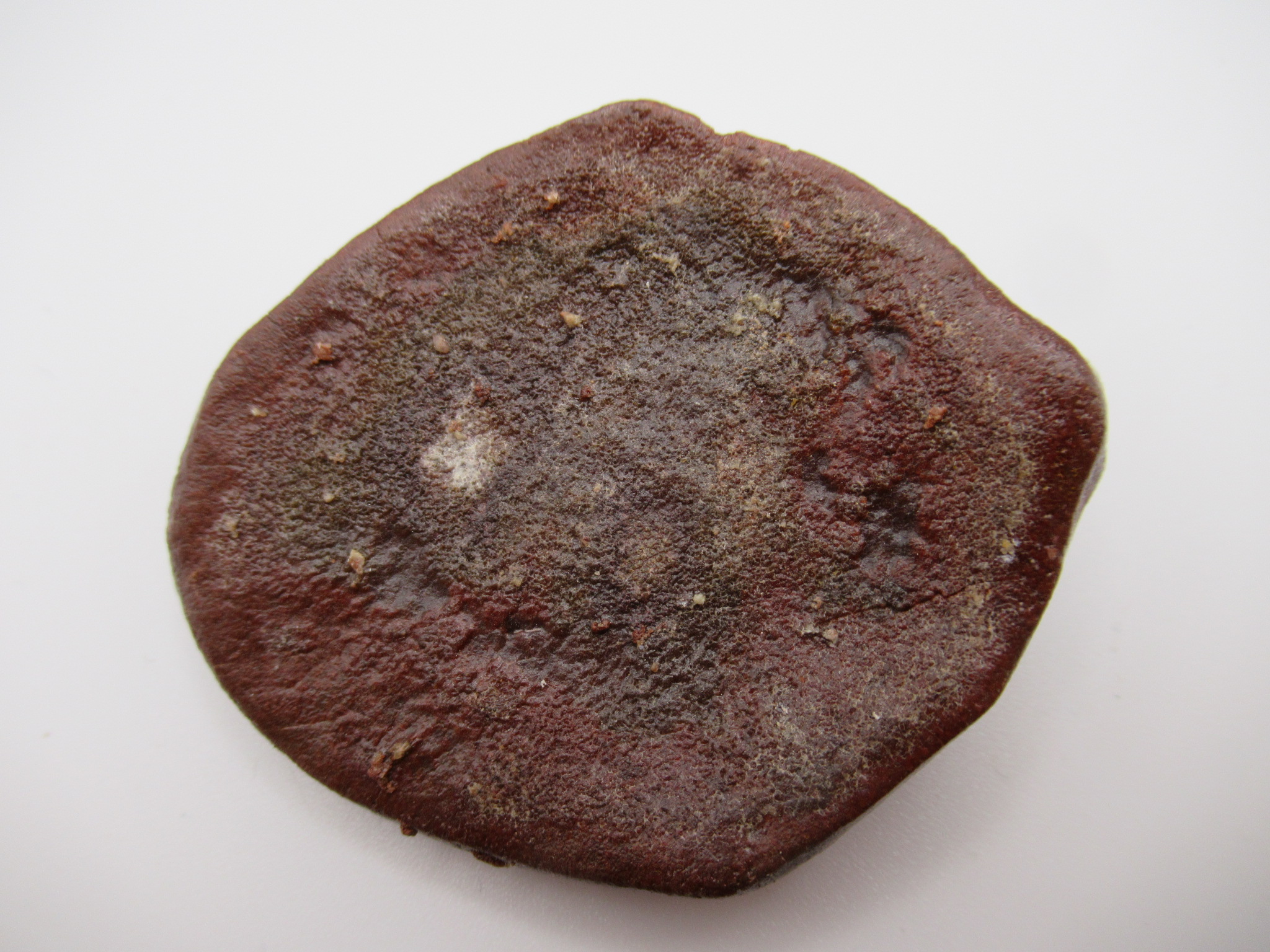 Cretaceous Morocco Dinosaur Dermal Scute 11 | Fossils for Sale Genuine Cretaceous Age Dinosaur Dermal Scute Fossil For Sale from Morocco #11