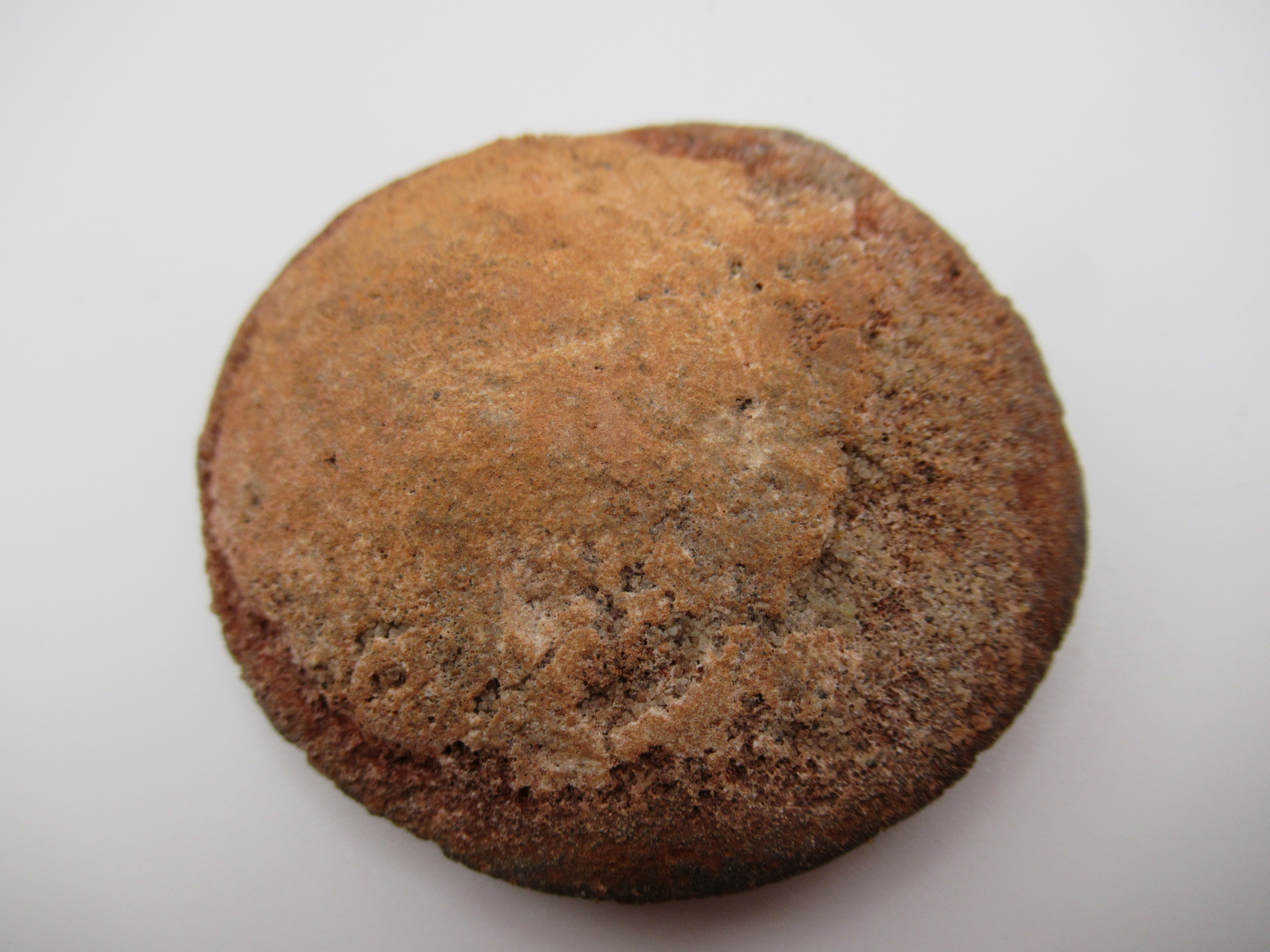 Cretaceous Morocco Dinosaur Dermal Scute 12a | Fossils for Sale Genuine Cretaceous Age Dinosaur Dermal Scute Fossil For Sale from Morocco #12a