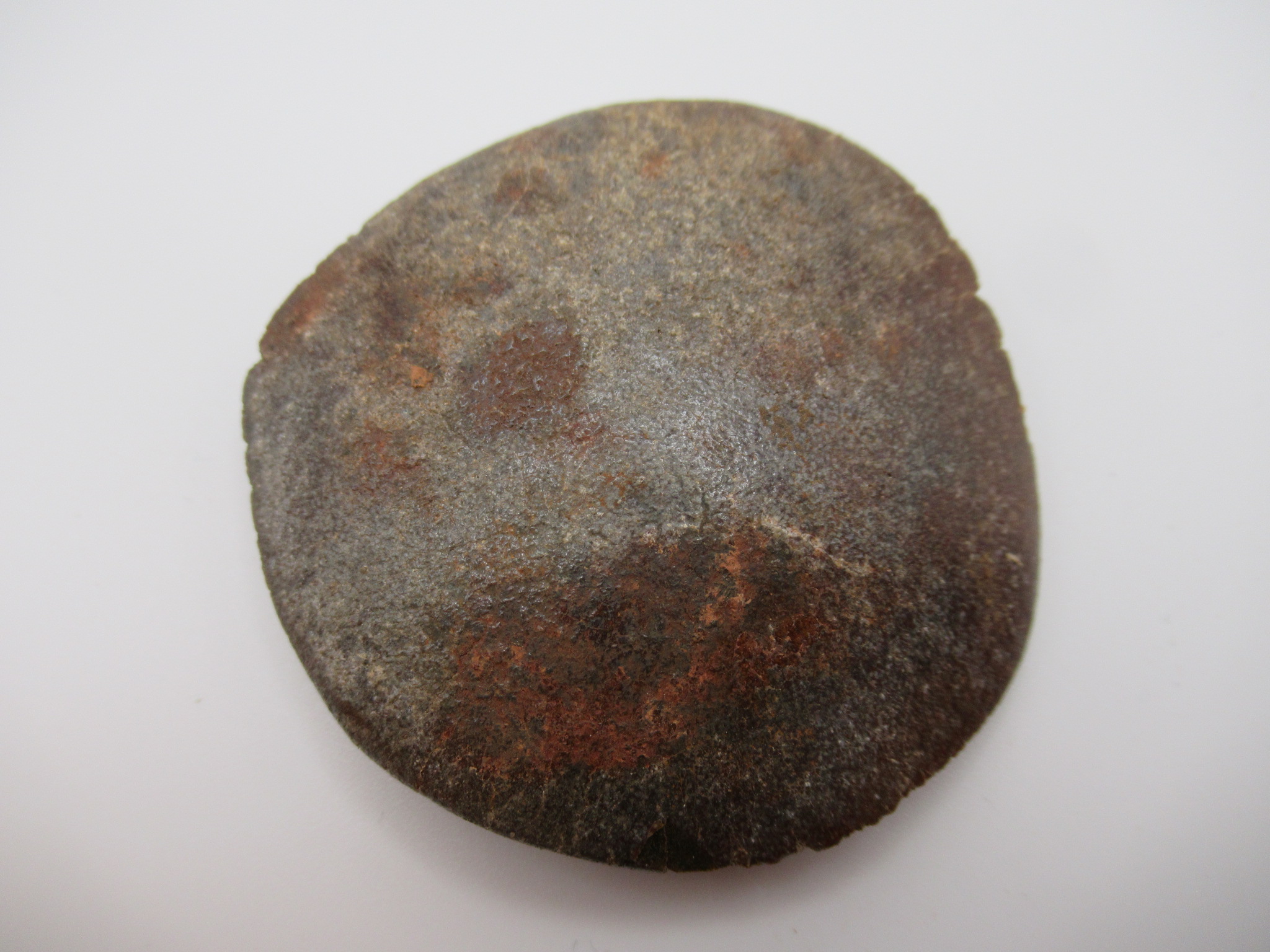 Cretaceous Morocco Dinosaur Dermal Scute 14 | Fossils for Sale Genuine Cretaceous Age Dinosaur Dermal Scute Fossil For Sale from Morocco #14