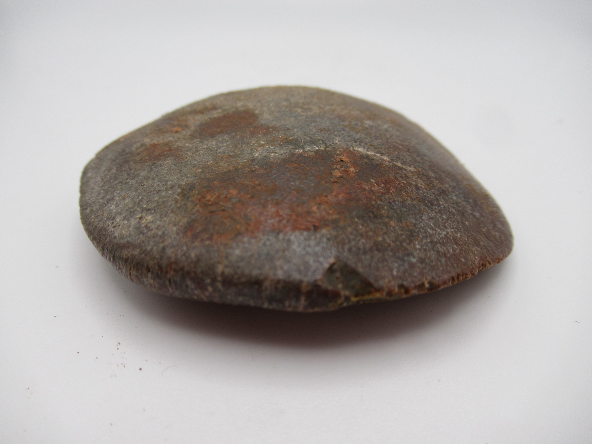 Cretaceous Morocco Dinosaur Dermal Scute 14b | Fossils for Sale Genuine Cretaceous Age Dinosaur Dermal Scute Fossil For Sale from Morocco #14b