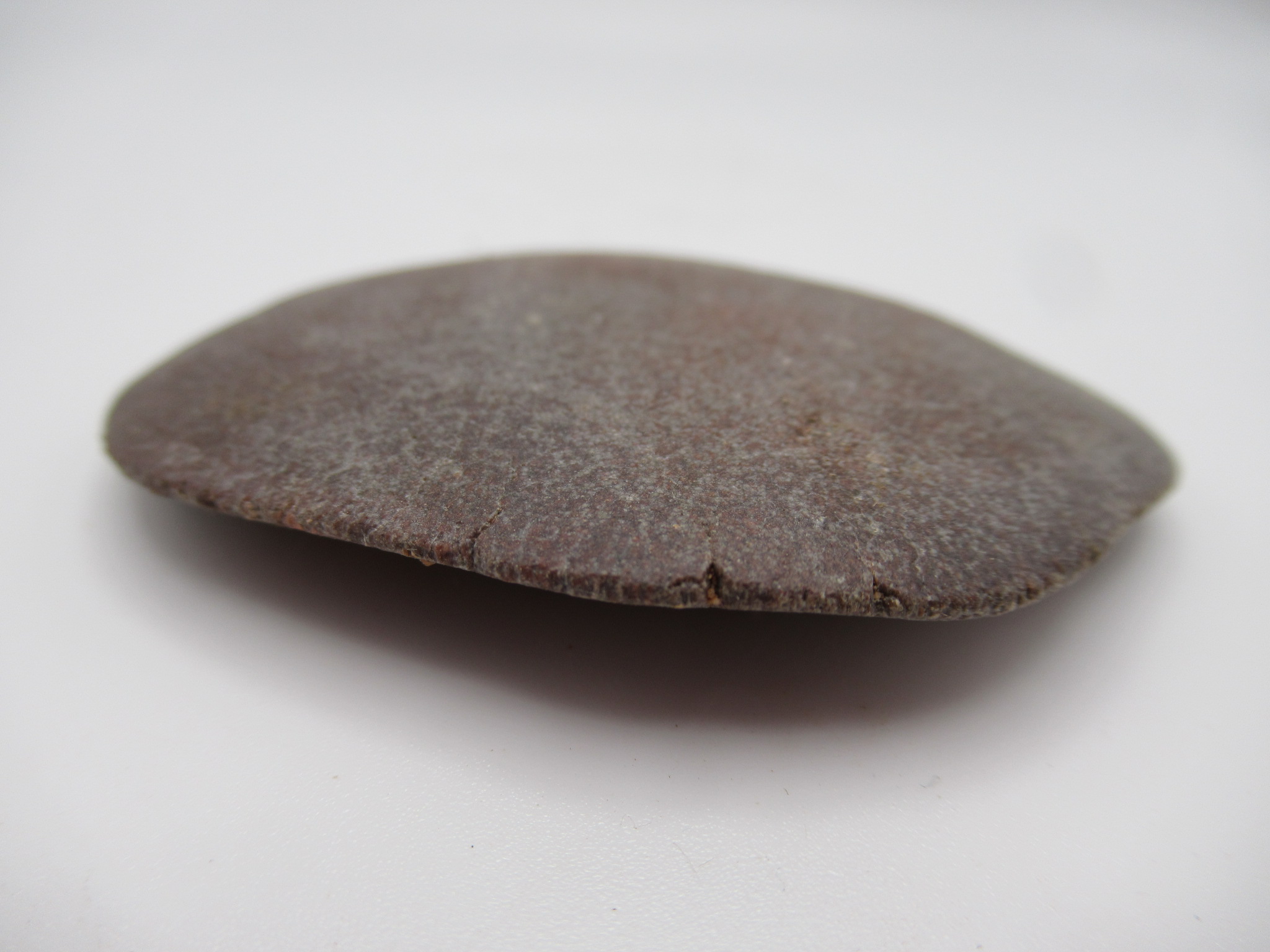 Cretaceous Morocco Dinosaur Dermal Scute 15b | Fossils for Sale Genuine Cretaceous Age Dinosaur Dermal Scute Fossil For Sale from Morocco #15b