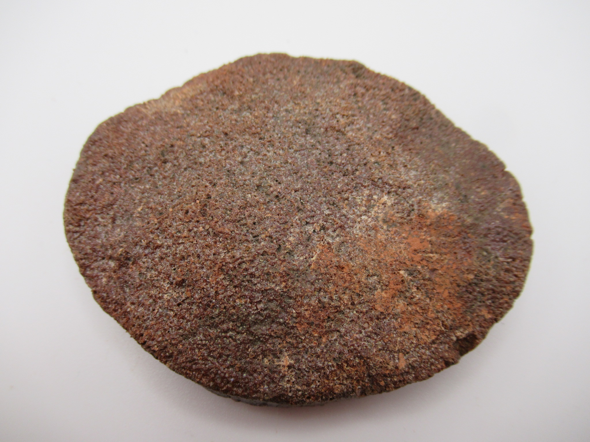 Cretaceous Morocco Dinosaur Dermal Scute 16a | Fossils for Sale Genuine Cretaceous Age Dinosaur Dermal Scute Fossil For Sale from Morocco #16a