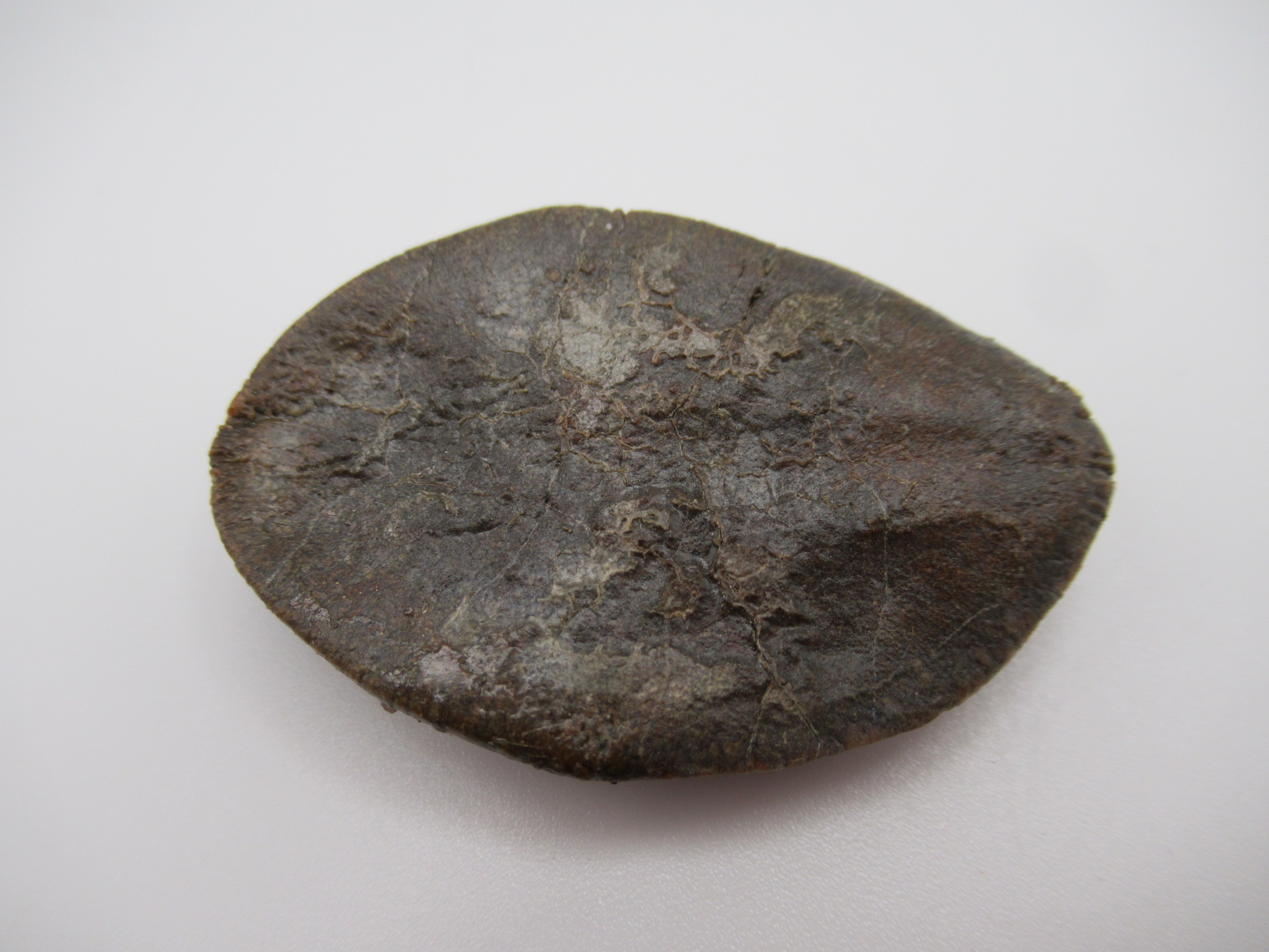 Cretaceous Morocco Dinosaur Dermal Scute 2a | Fossils for Sale Genuine Cretaceous Age Dinosaur Dermal Scute Fossil For Sale from Morocco #2a