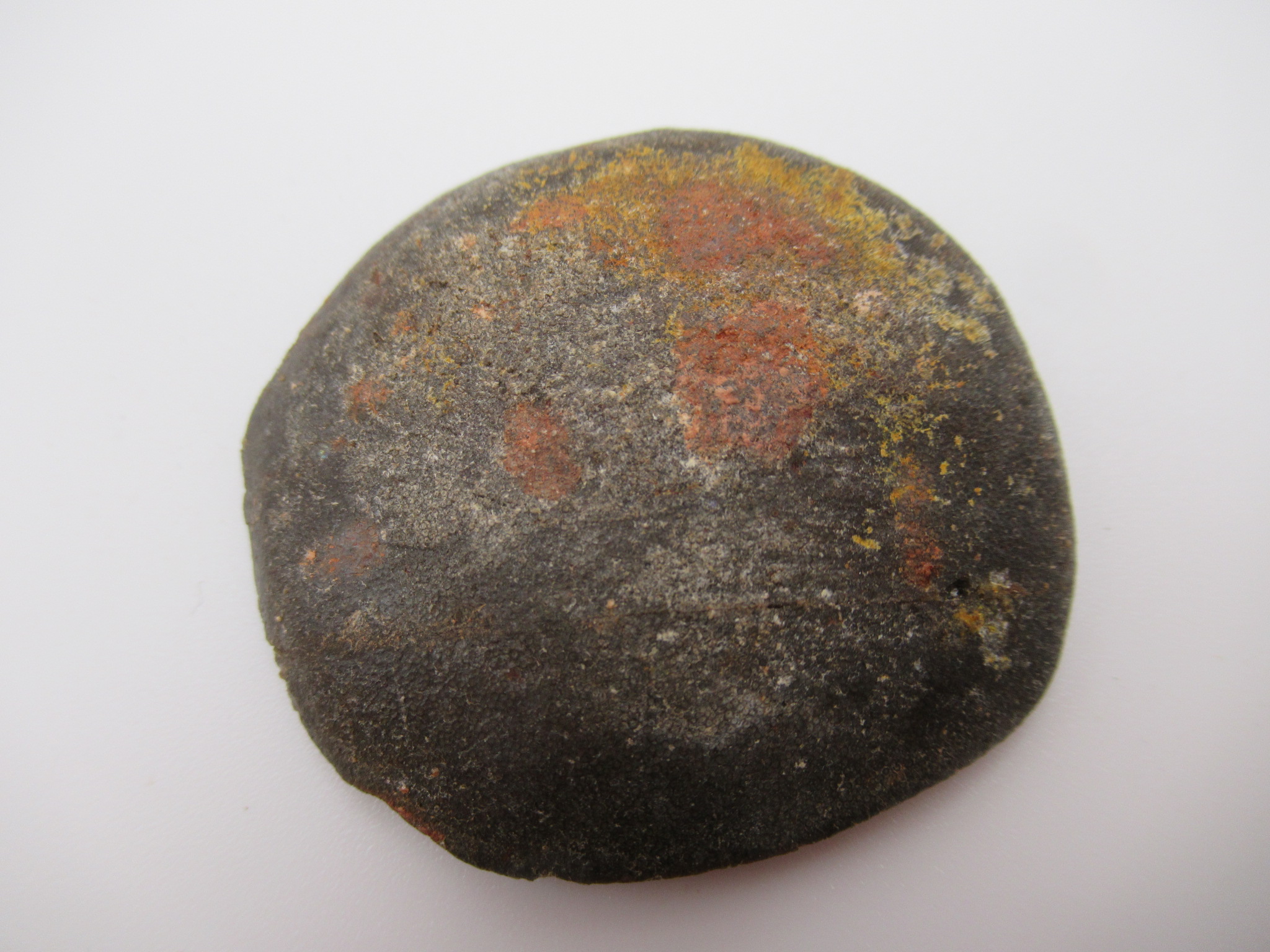 Cretaceous Morocco Dinosaur Dermal Scute 6a | Fossils for Sale Genuine Cretaceous Age Dinosaur Dermal Scute Fossil For Sale from Morocco #6a