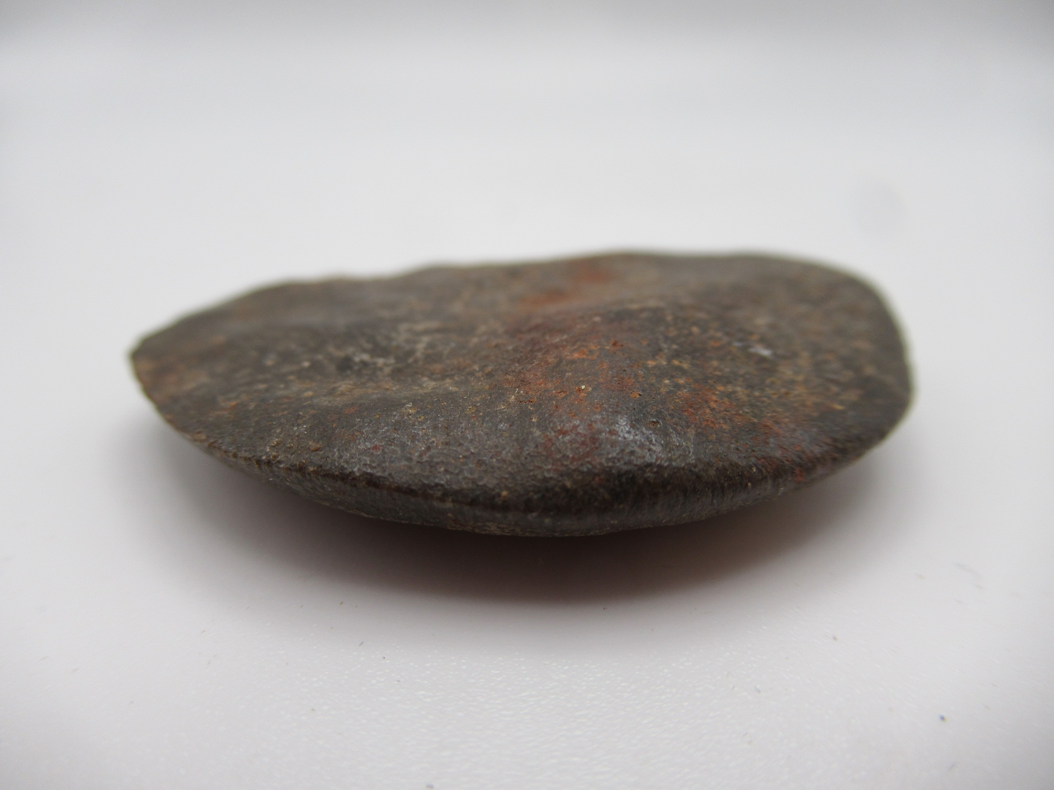 Cretaceous Morocco Dinosaur Dermal Scute 6b | Fossils for Sale Genuine Cretaceous Age Dinosaur Dermal Scute Fossil For Sale from Morocco #6b