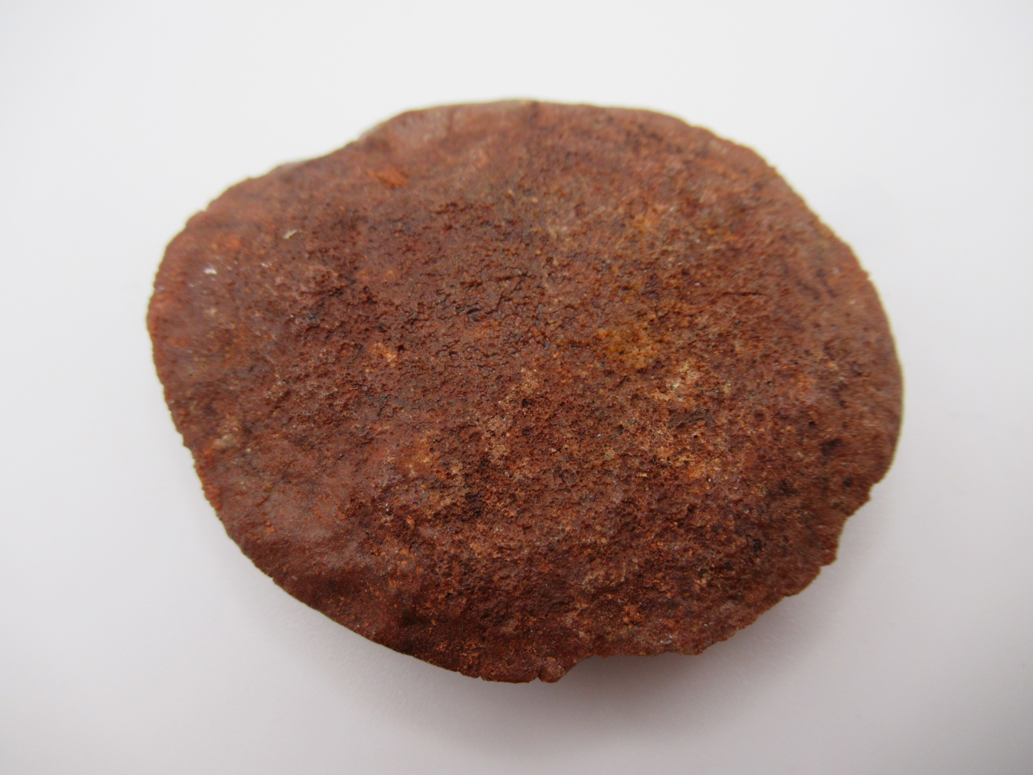 Cretaceous Morocco Dinosaur Dermal Scute 9a | Fossils for Sale Genuine Cretaceous Age Dinosaur Dermal Scute Fossil For Sale from Morocco #9a