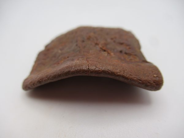 Genuine Cretaceous Age Elosuchus Crocodile Scute Fossil For Sale from Morocco #26b