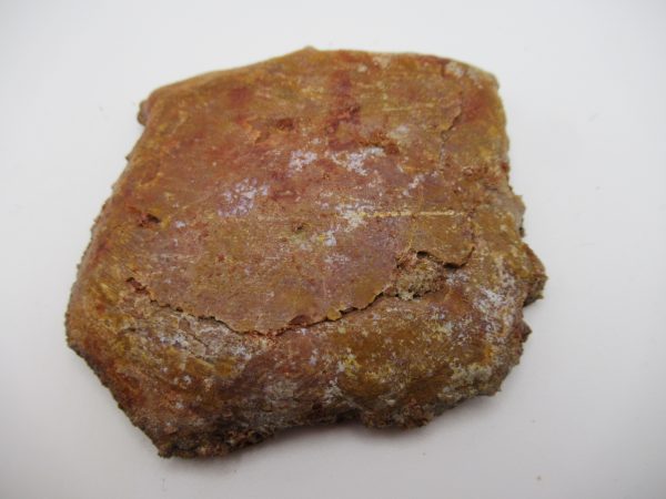 Genuine Cretaceous Age Elosuchus Crocodile Scute Fossil For Sale from Morocco #32a