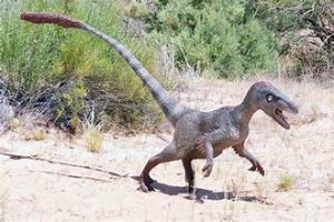 Paleo Expedition