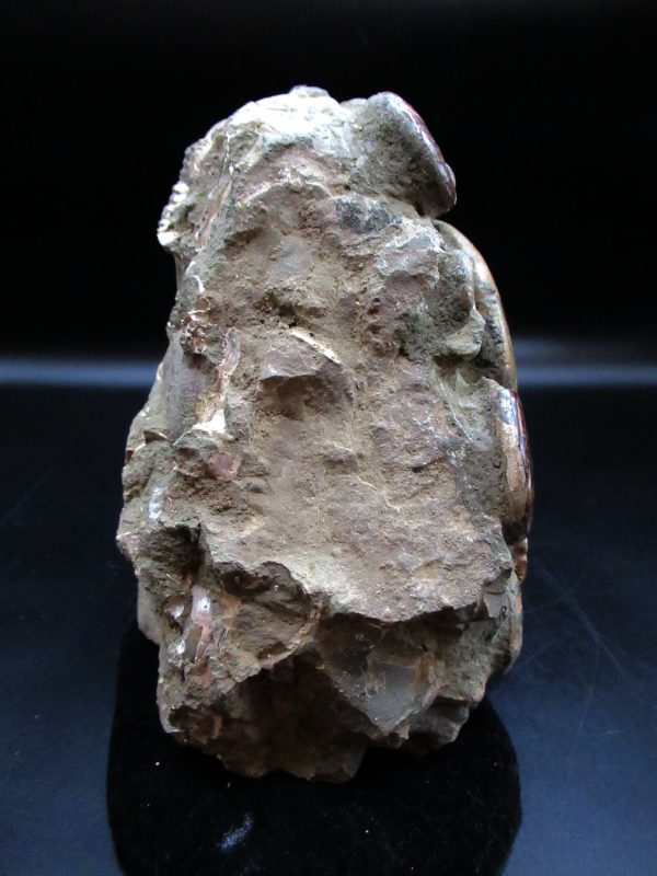 Genuine Cretaceous Age Ammonite Cluster Fossils for Sale from Morocco #5d For Sale