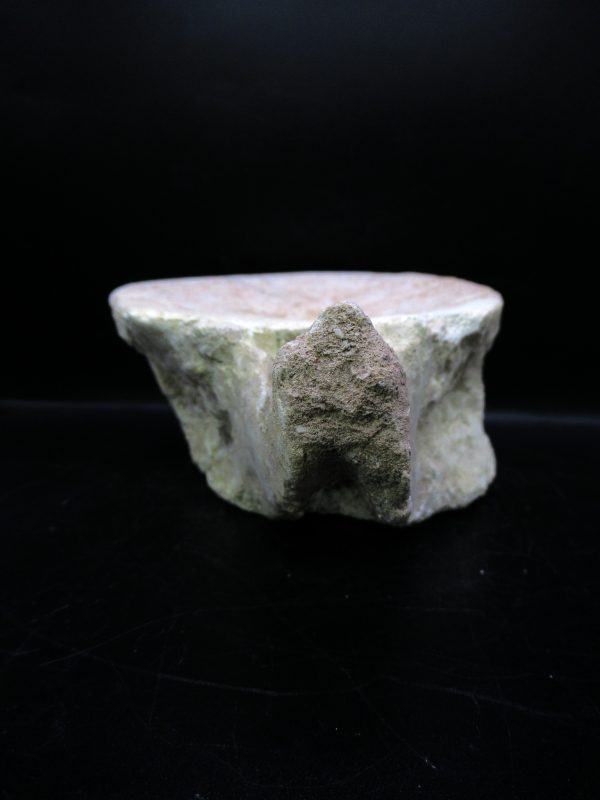 Genuine Cretaceous Age Plesiosaurus Vertebra from Morocco for Sale #3d