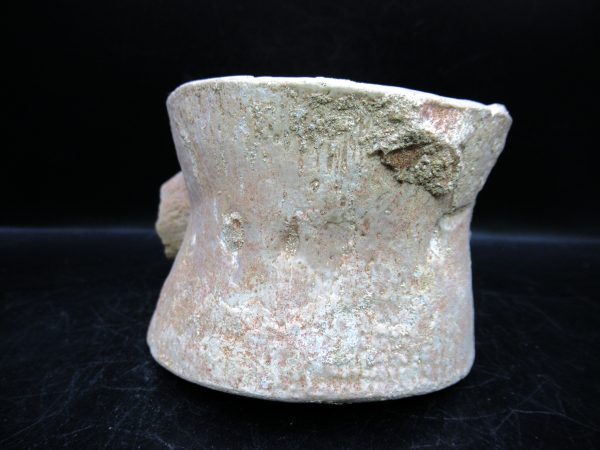 Genuine Cretaceous Age Plesiosaurus Vertebra from Morocco for Sale #7e