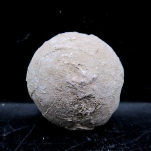 Genuine Oligocene Age Tortoise Egg Specimen From Wyoming For Sale #10