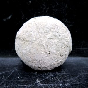 Genuine Oligocene Age Tortoise Egg Specimen From Wyoming For Sale #11