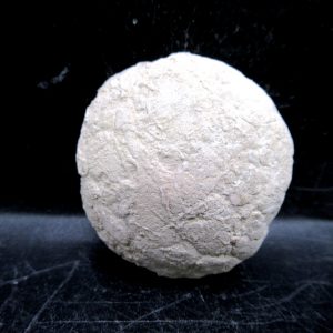 Genuine Oligocene Age Tortoise Egg Specimen From Wyoming For Sale #12