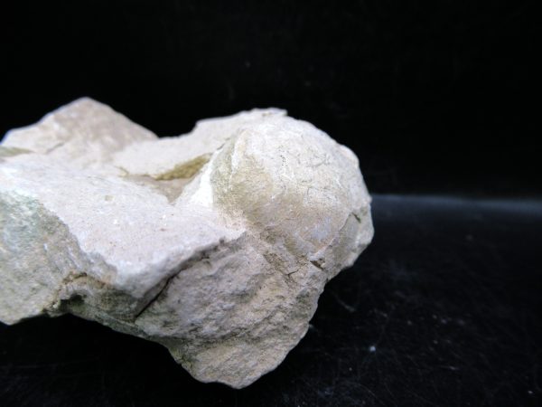 Genuine Oligocene Age Tortoise Egg Specimen From Wyoming For Sale #2a
