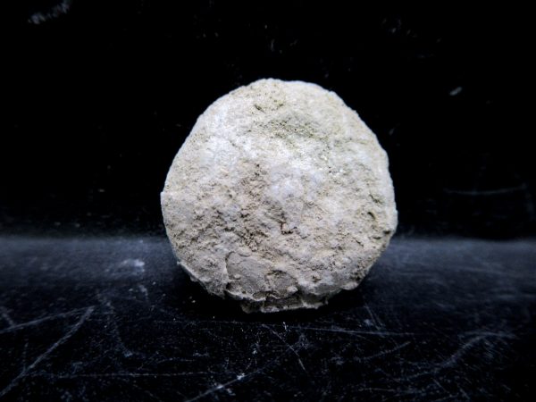 Genuine Oligocene Age Tortoise Egg Specimen From Wyoming For Sale #6a