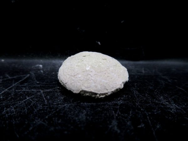 Genuine Oligocene Age Tortoise Egg Specimen From Wyoming For Sale #6c