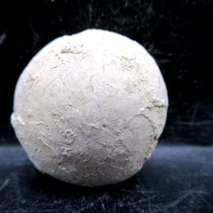 Genuine Oligocene Age Tortoise Egg Specimen From Wyoming For Sale #9