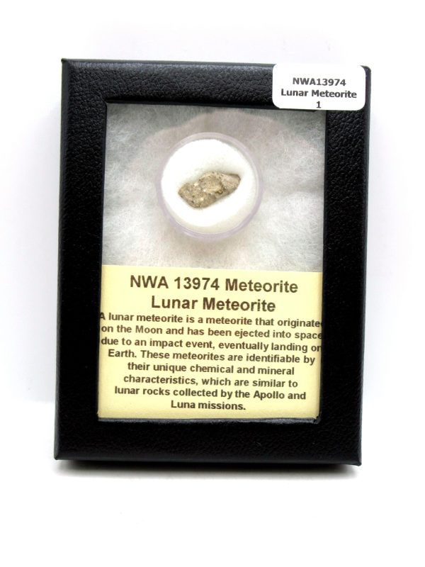 Lunar Meteorite NWA13974 Meteorites for Sale