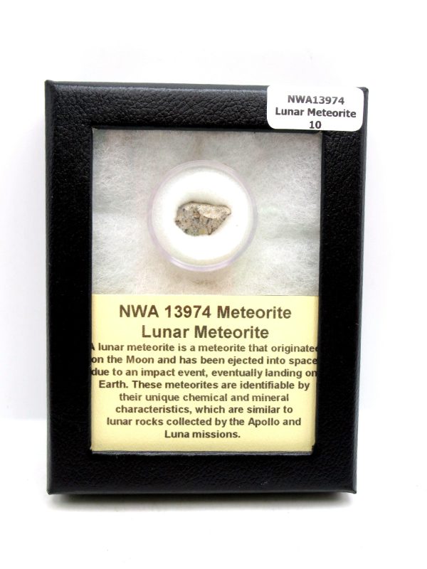 Lunar Meteorite NWA13974 Meteorites for Sale