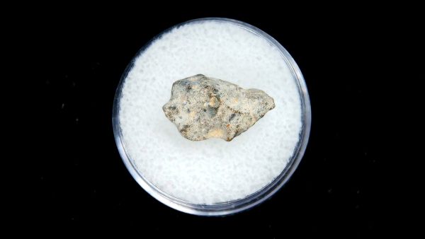 Lunar Meteorite NWA13974 Meteorites for Sale - Image 2