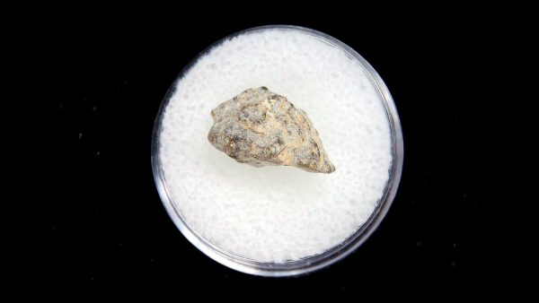 Lunar Meteorite NWA13974 Meteorites for Sale - Image 3