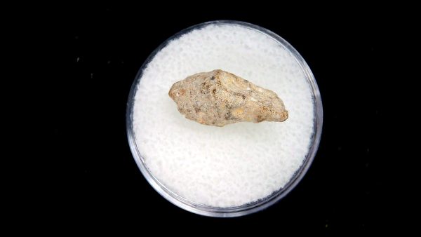 Lunar Meteorite NWA13974 Meteorites for Sale - Image 2